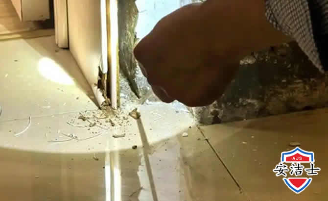 龙游房屋建筑防治白蚁