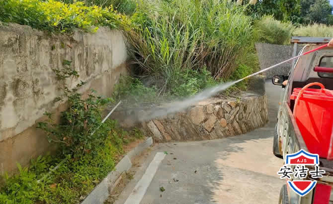 龙游道路堤坝白蚁防治