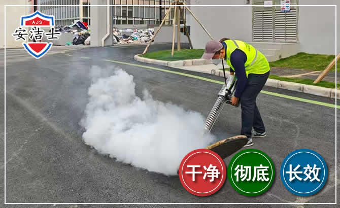 龙游消杀防疫现场