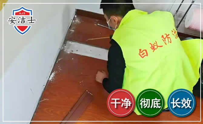 龙游除四害现场