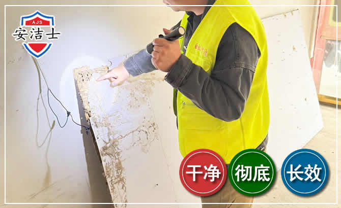 龙游除白蚁现场