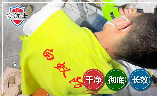 龙游白蚁根治现场